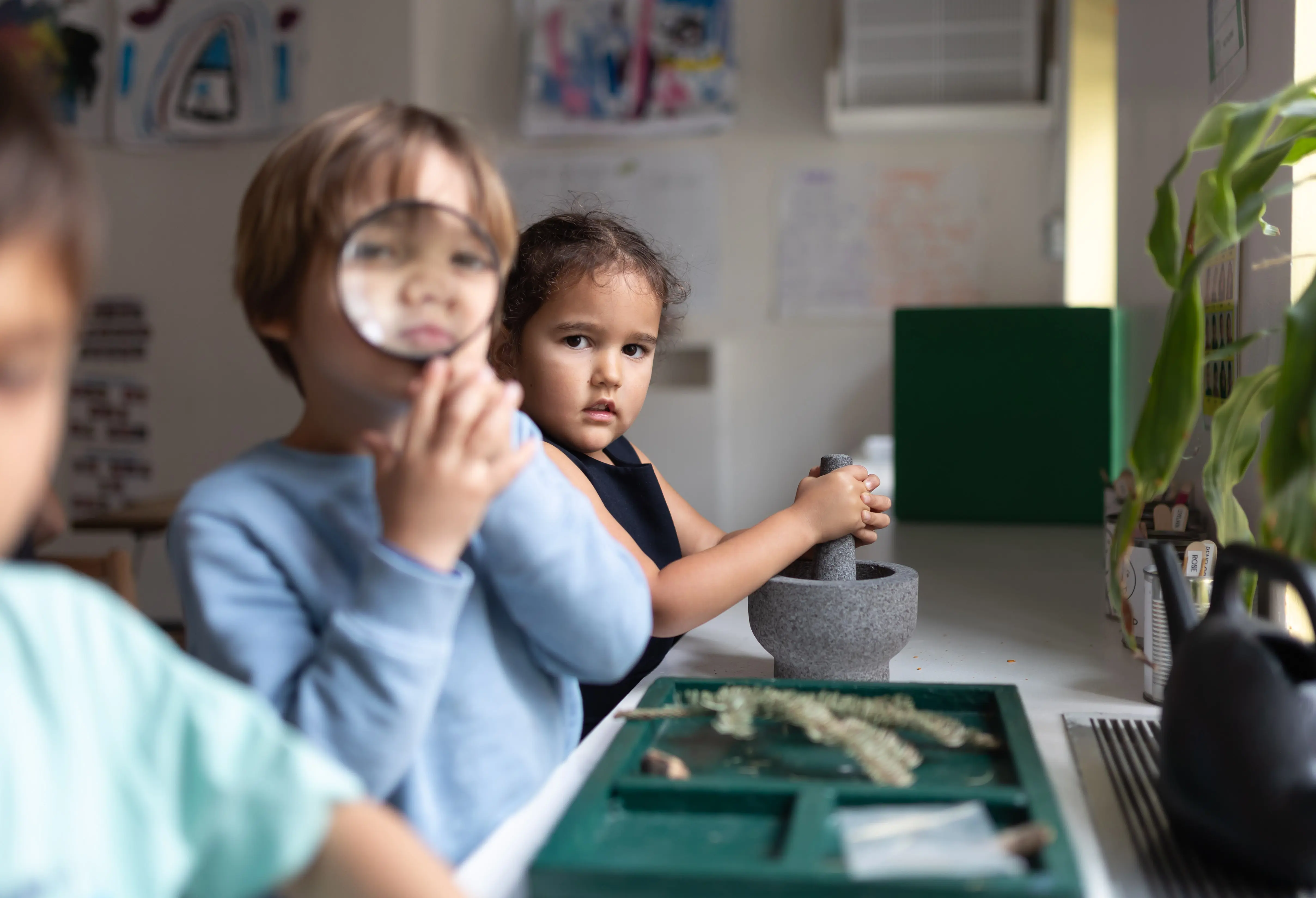  OptimizedImage,,,Optimized