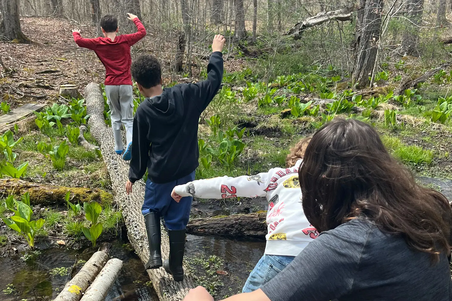 OptimizedImage,,,Optimized